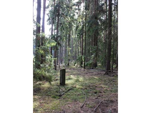 Foto 67